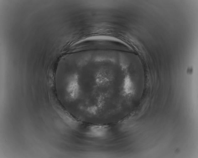 X0000092230465200709281107