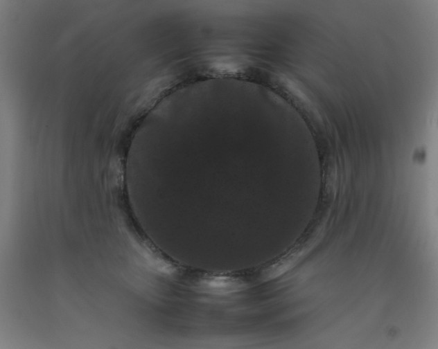 X0000092230467200709281108