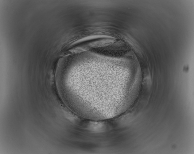 X0000092230469200709281108