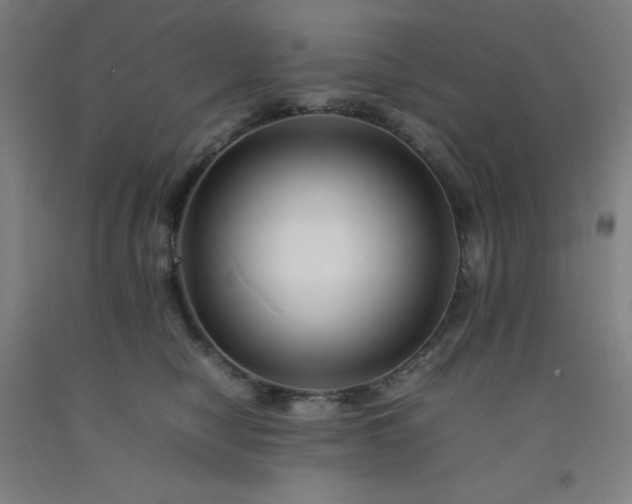 X0000092230470200709281108