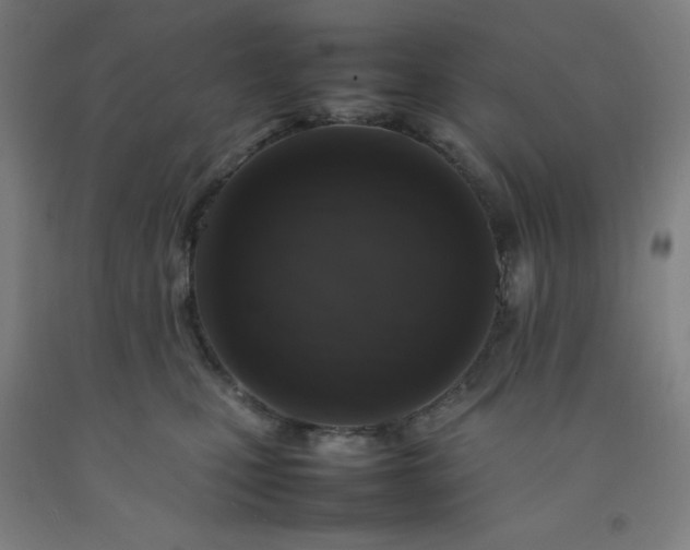 X0000092230471200709281108