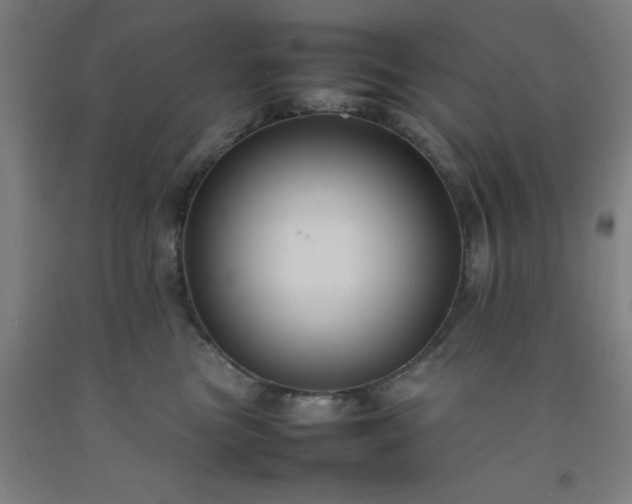 X0000092230473200709281108