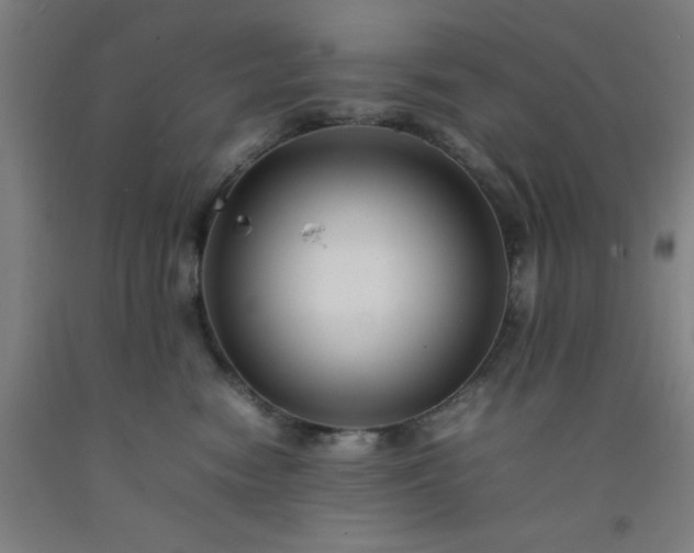 X0000092230474200709281108