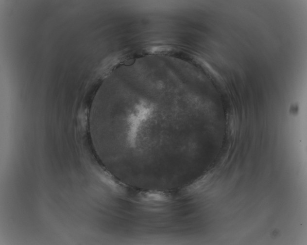 X0000092230475200709281108