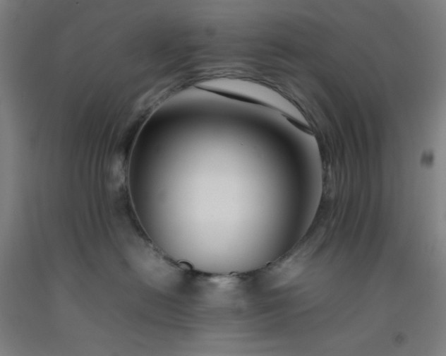 X0000092230478200709281108