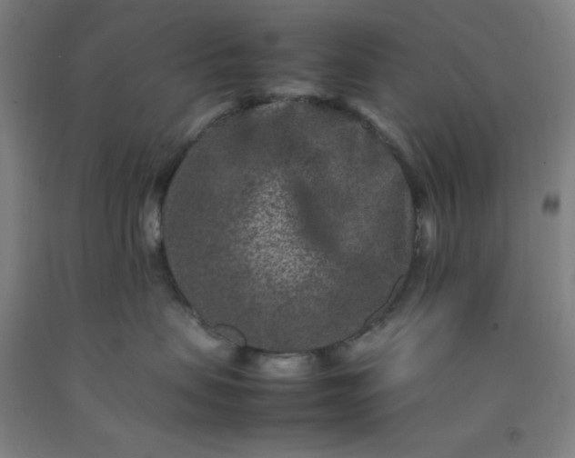 X0000092230479200709281108