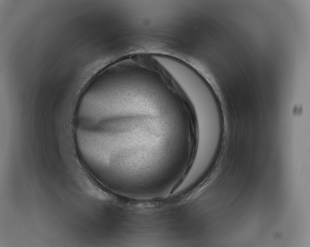 X0000092230481200709281107