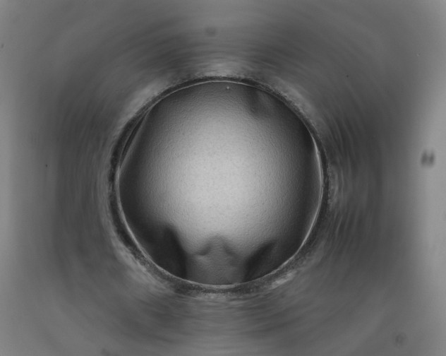 X0000092230482200709281107