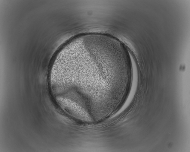 X0000092230483200709281107