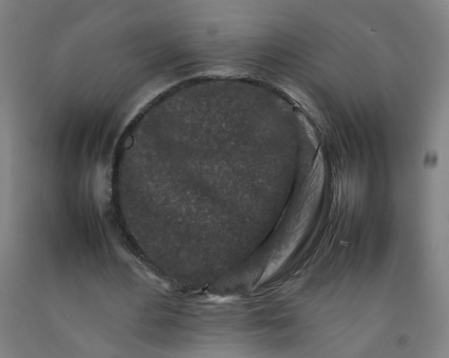 X0000092230484200709281107