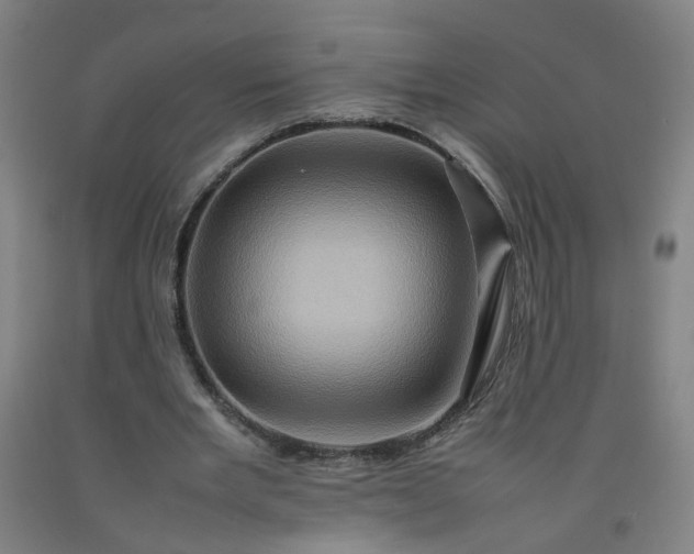 X0000092230485200709281107