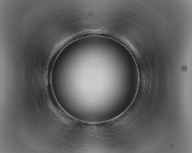 X0000092230486200709281107