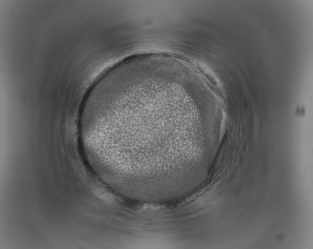 X0000092230487200709281107