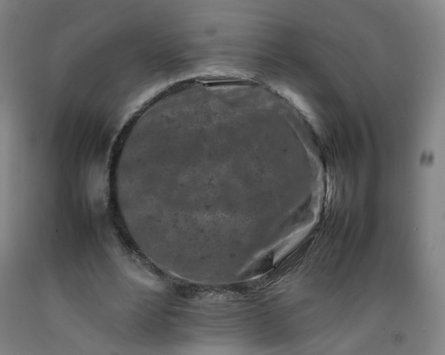 X0000092230488200709281107