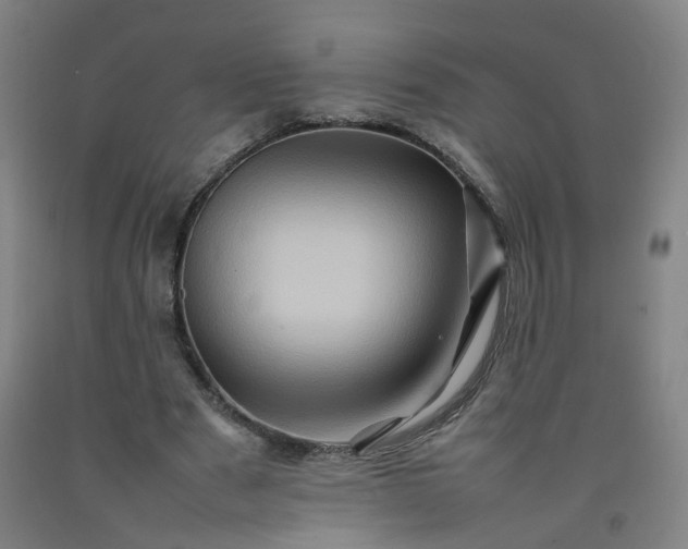 X0000092230489200709281107