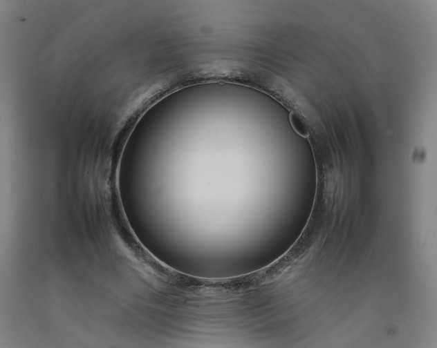 X0000092230490200709281107