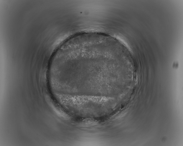 X0000092230491200709281107