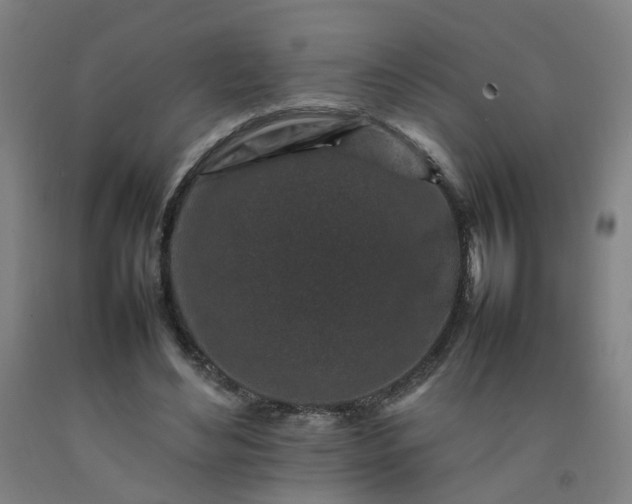 X0000092230492200709281107