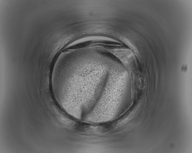 X0000092230493200709281107