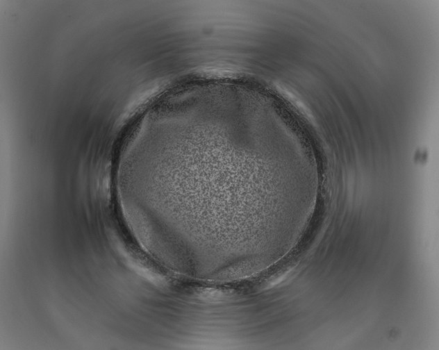 X0000092230494200709281107