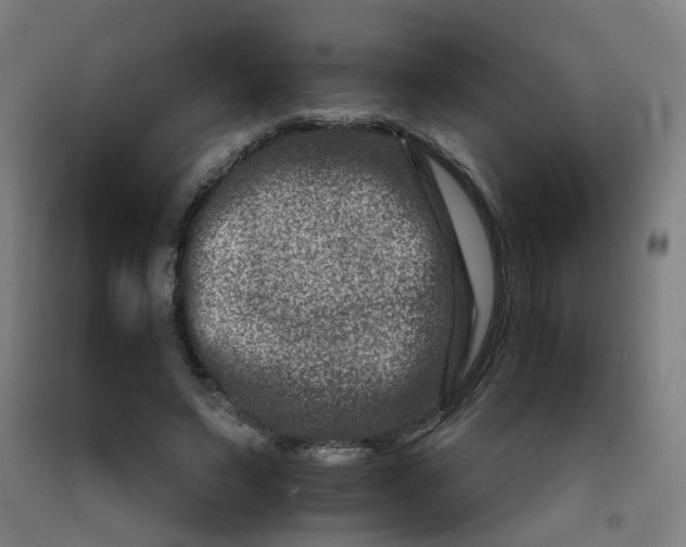 X0000092230495200709281107