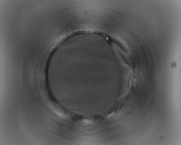 X0000092230496200709281107