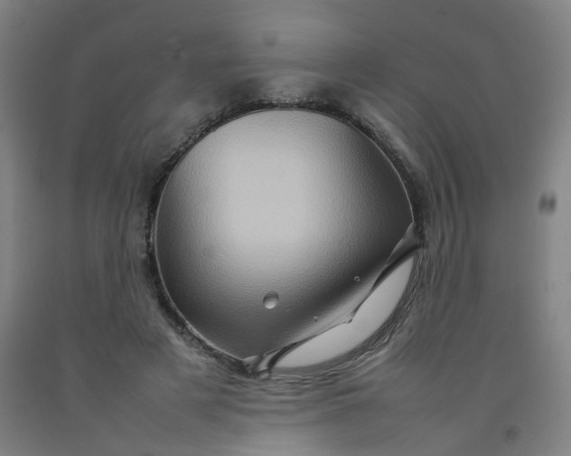 X0000092230497200709281107