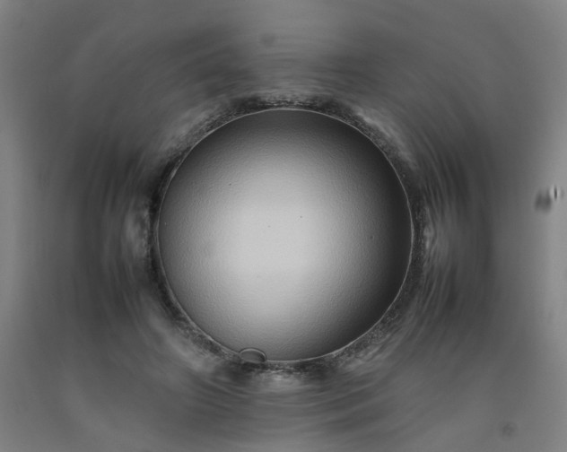 X0000092230498200709281107