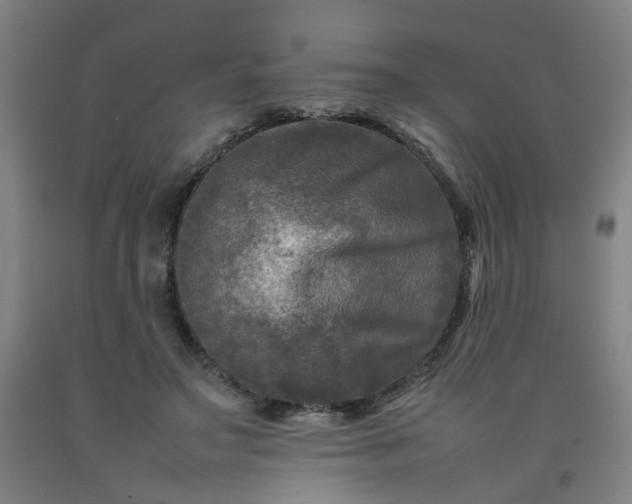 X0000092230499200709281107