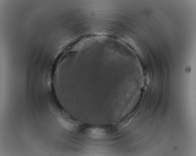 X0000092230500200709281107