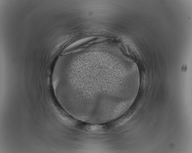 X0000092230501200709281107