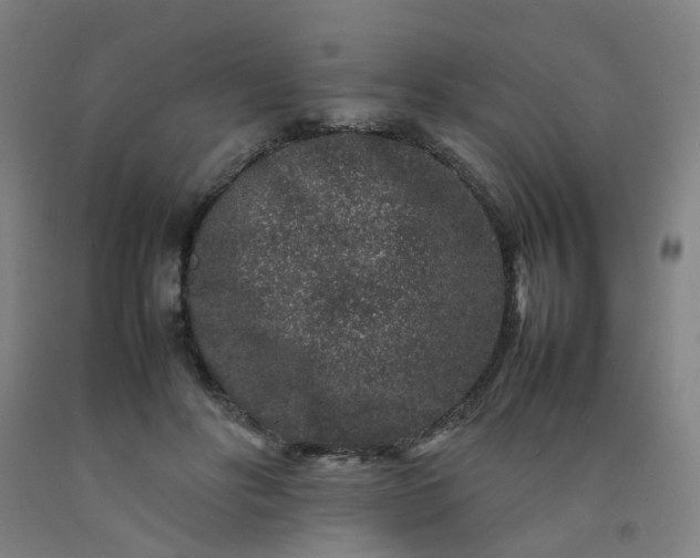 X0000092230502200709281107