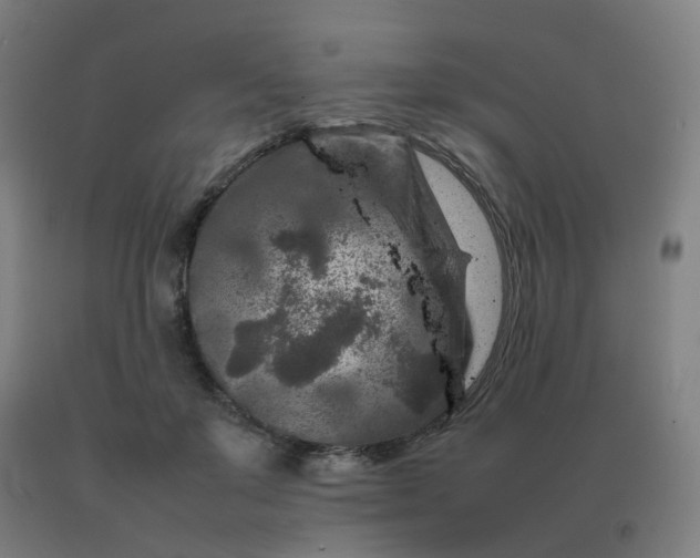 X0000092230503200709281107