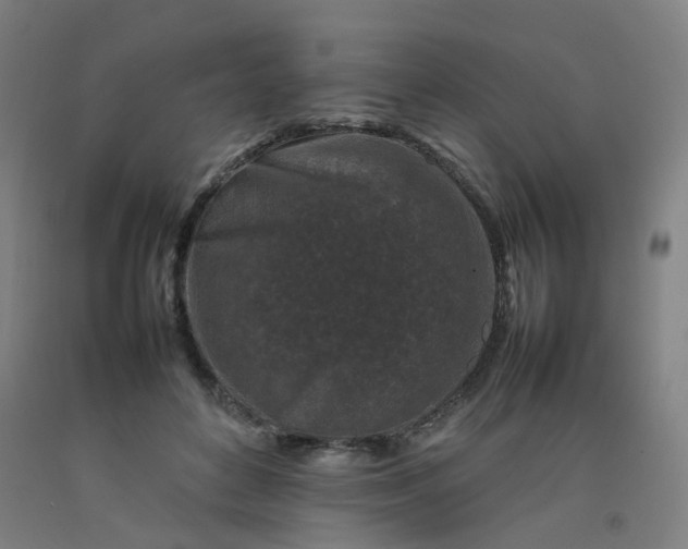 X0000092230504200709281107