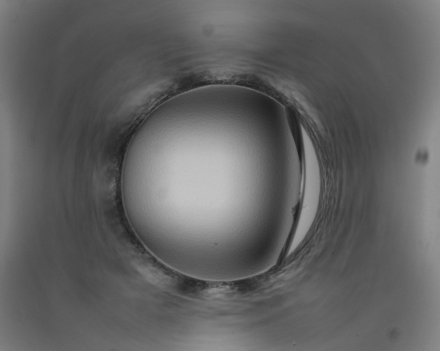 X0000092230505200709281107