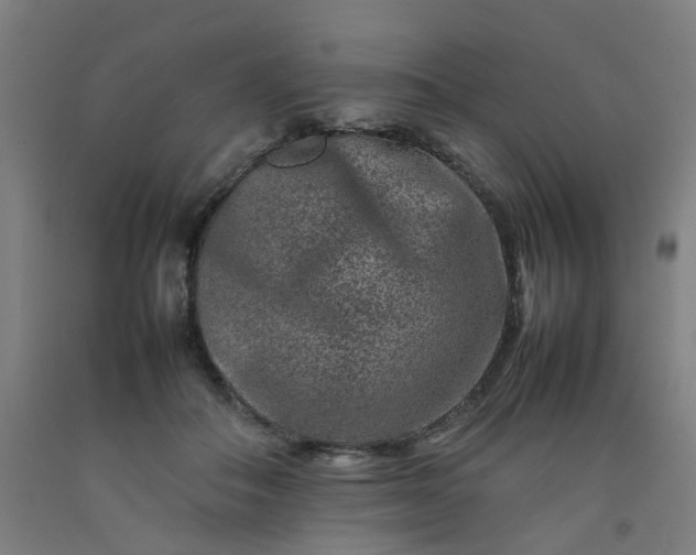 X0000092230506200709281107