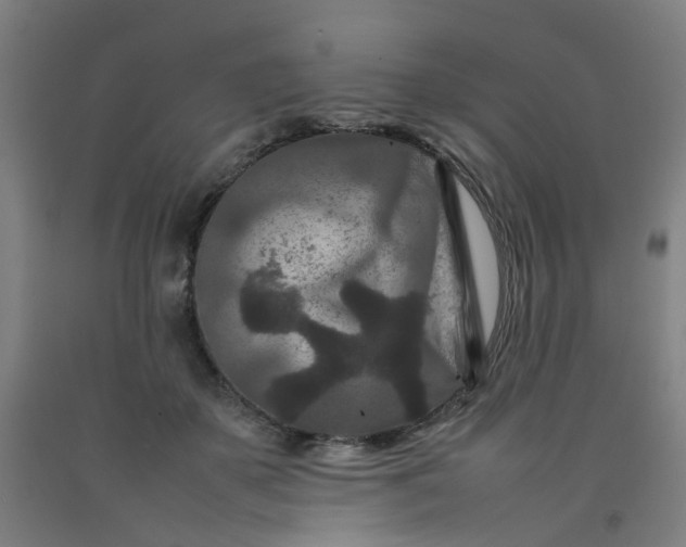 X0000092230507200709281107