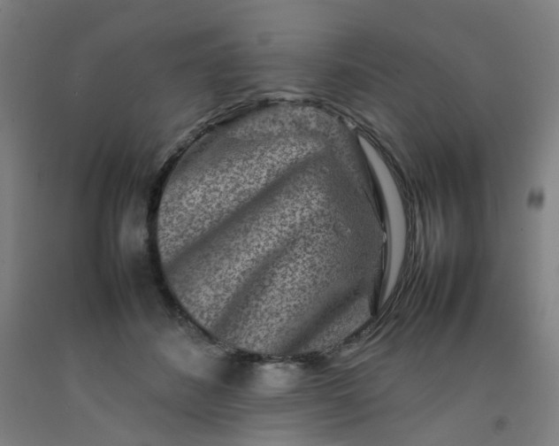 X0000092230508200709281107