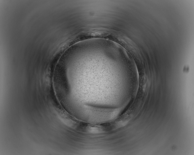 X0000092230510200709281107