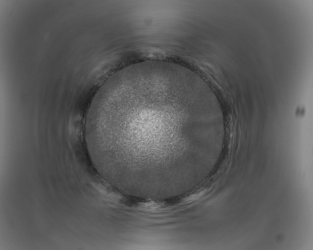 X0000092230511200709281107