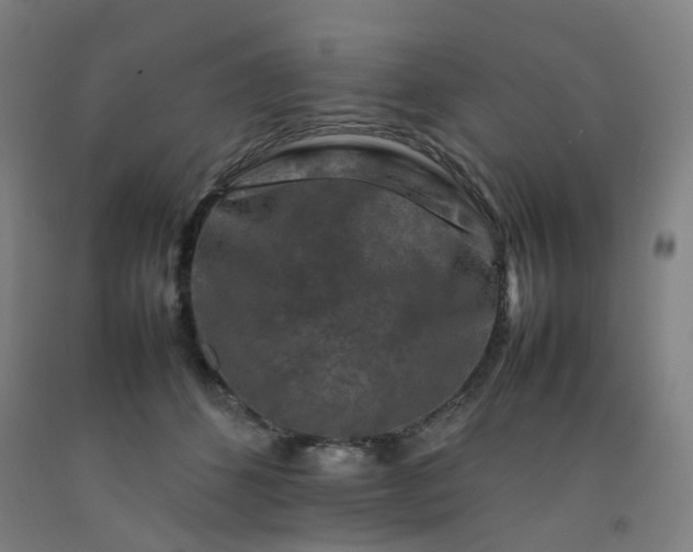 X0000092230512200709281107