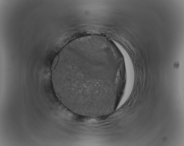 X0000092230513200709281107