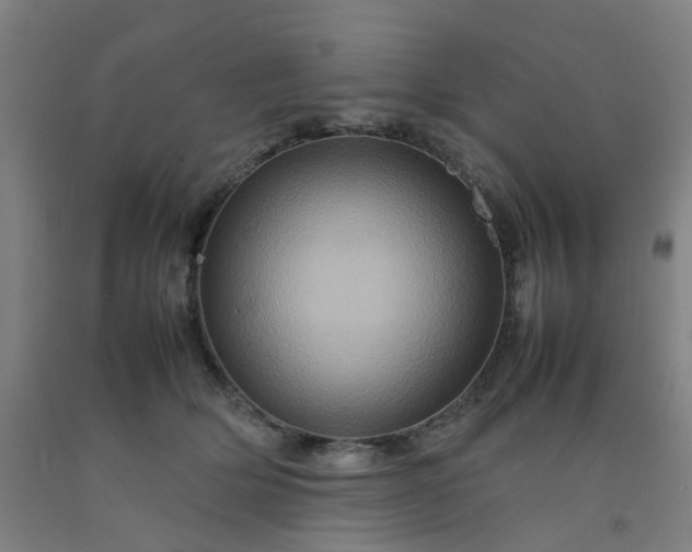 X0000092230514200709281107