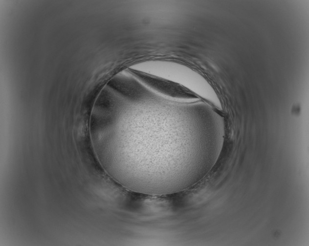 X0000092230515200709281107