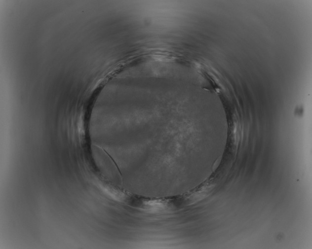 X0000092230516200709281107