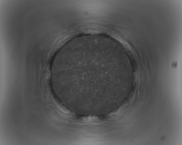 X0000092230517200709281107