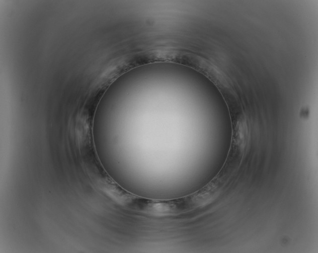 X0000092230522200709281107