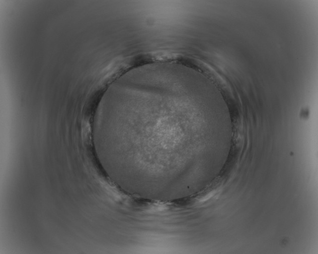 X0000092230523200709281107