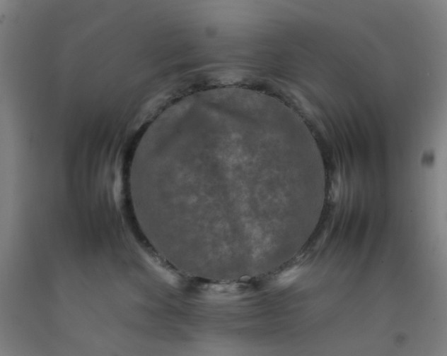 X0000092230524200709281107