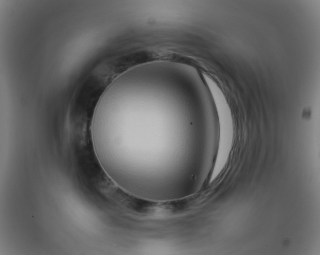 X0000092230525200709281107